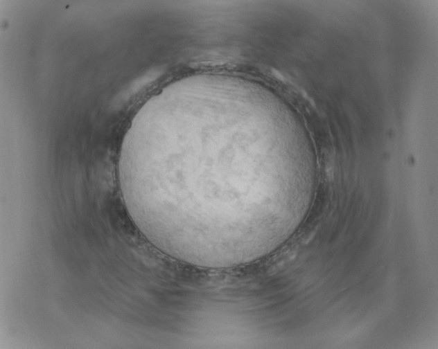 X0000074301350200609151931