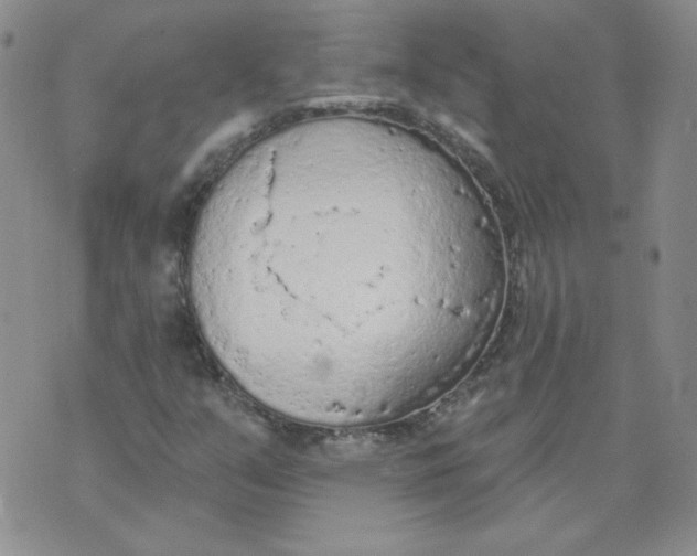 X0000074301351200609151931