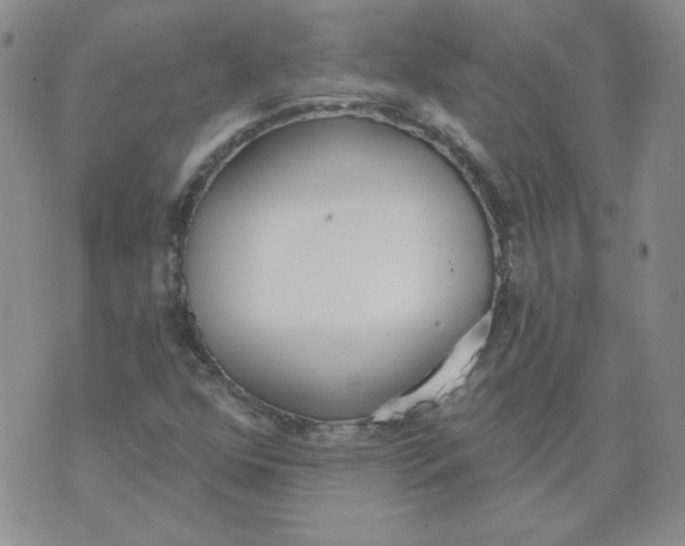 X0000074301352200609151931