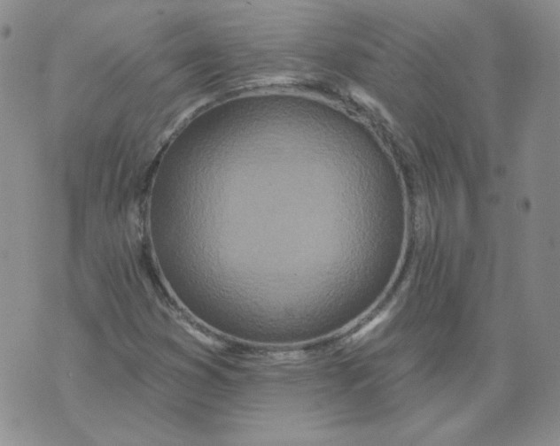 X0000074301353200609151931