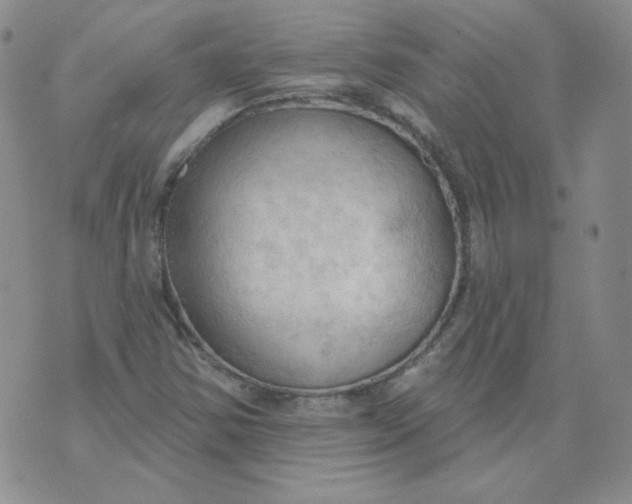 X0000074301354200609151931