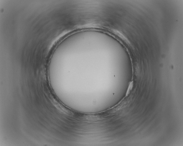 X0000074301356200609151931