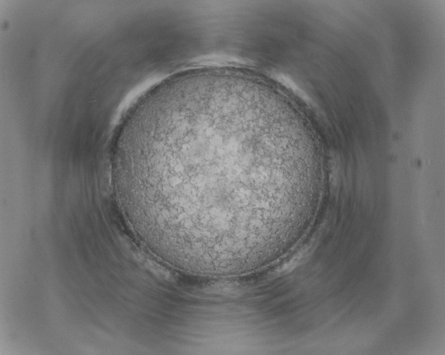 X0000074301358200609151931