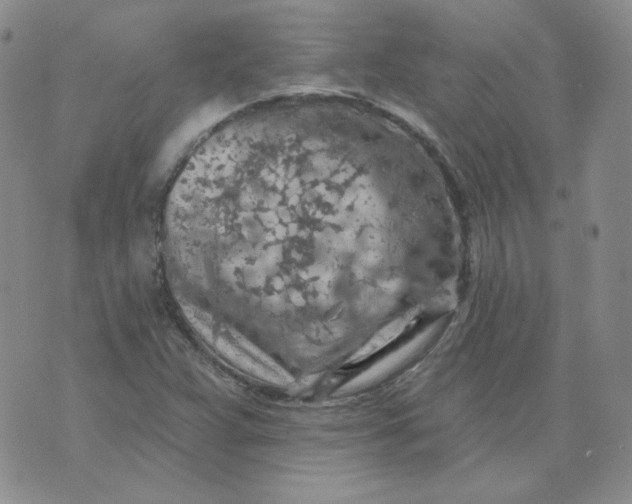 X0000074301359200609151931