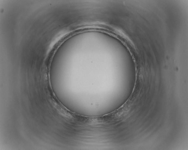 X0000074301360200609151931