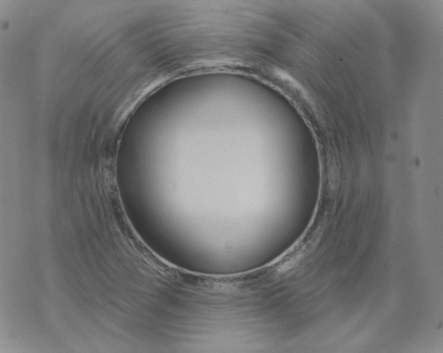 X0000074301361200609151931