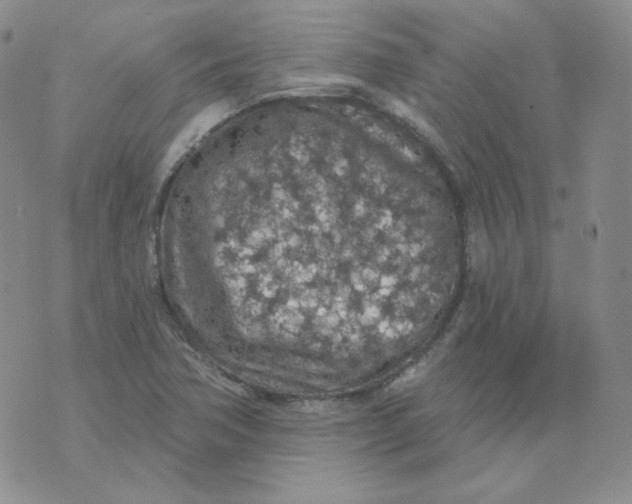 X0000074301362200609151931