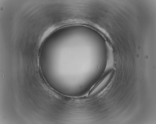 X0000074301365200609151931