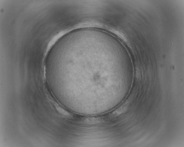 X0000074301366200609151931