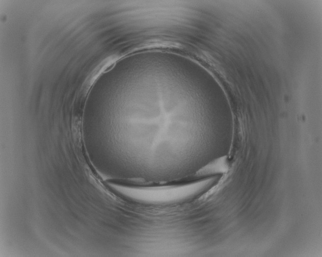 X0000074301369200609151931