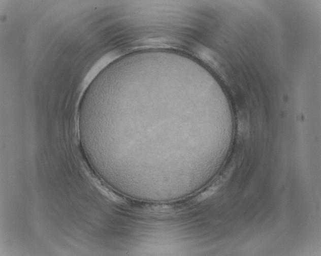 X0000074301370200609151931