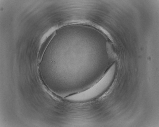 X0000074301373200609151931