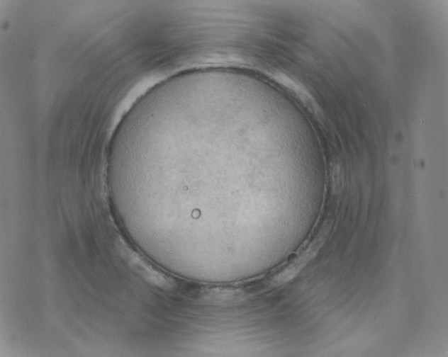 X0000074301374200609151931