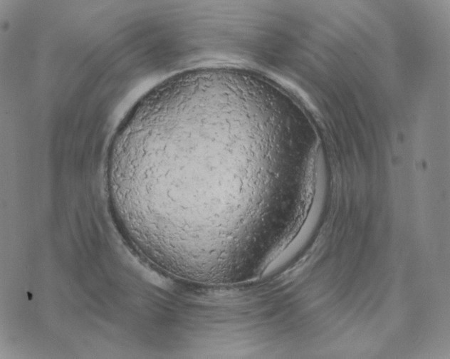 X0000074301375200609151931