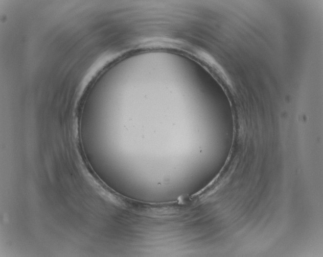 X0000074301376200609151931