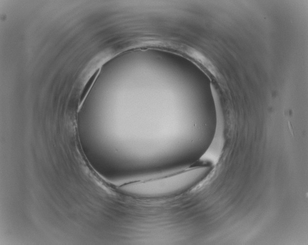 X0000074301377200609151931