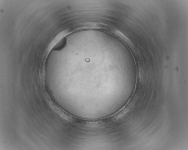 X0000074301378200609151931