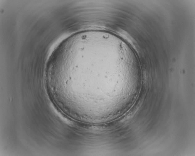 X0000074301379200609151931