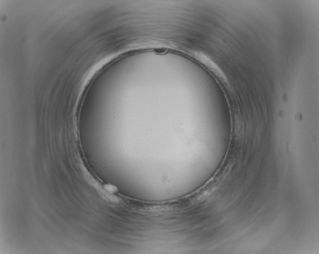 X0000074301380200609151931