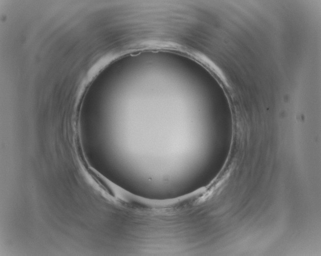 X0000074301381200609151931