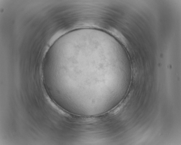 X0000074301382200609151931