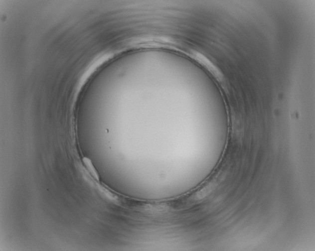 X0000074301384200609151931