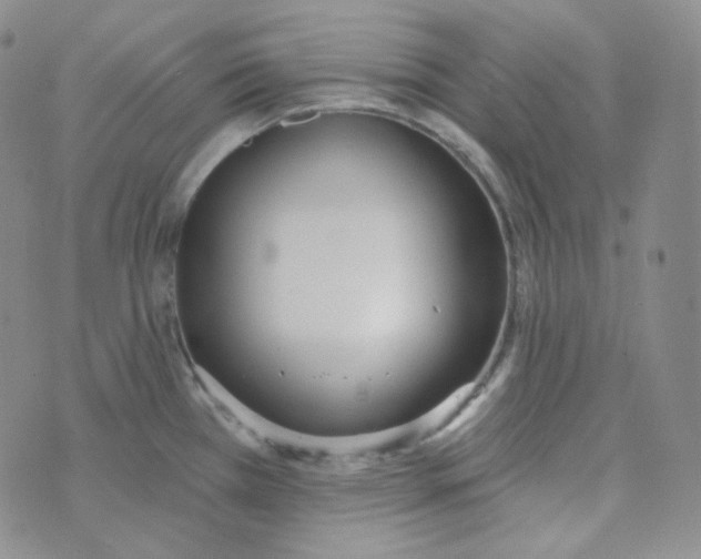 X0000074301385200609151931