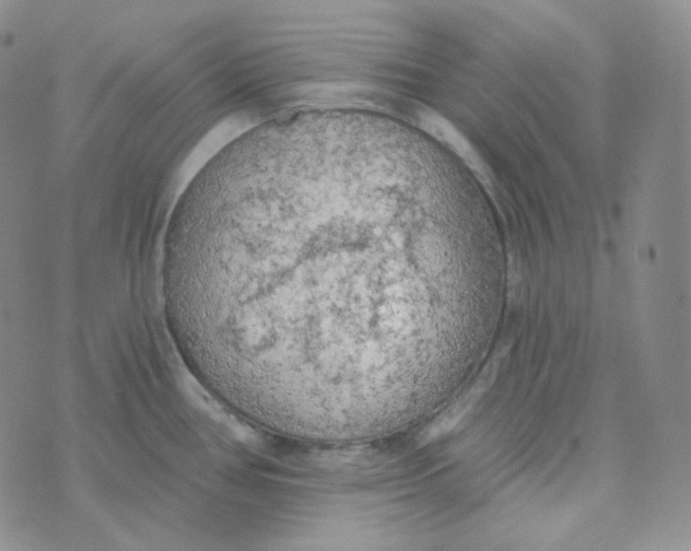 X0000074301386200609151931