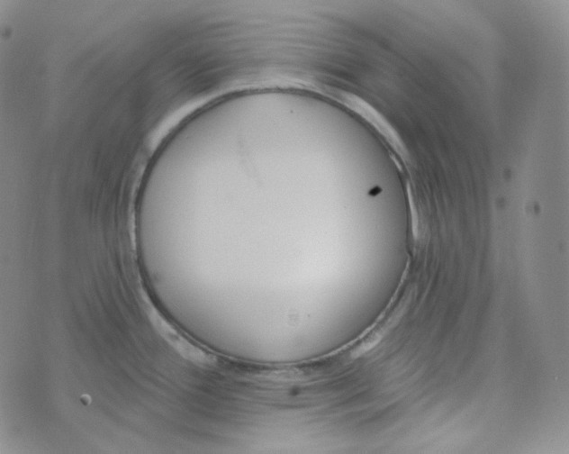 X0000074301388200609151931