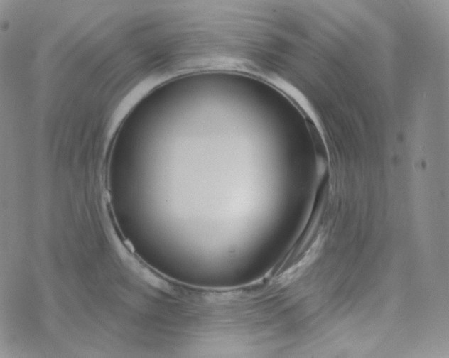 X0000074301389200609151931