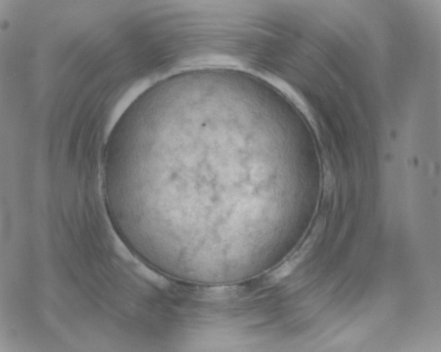 X0000074301390200609151931