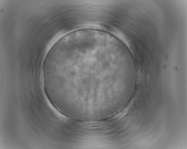 X0000074301391200609151931