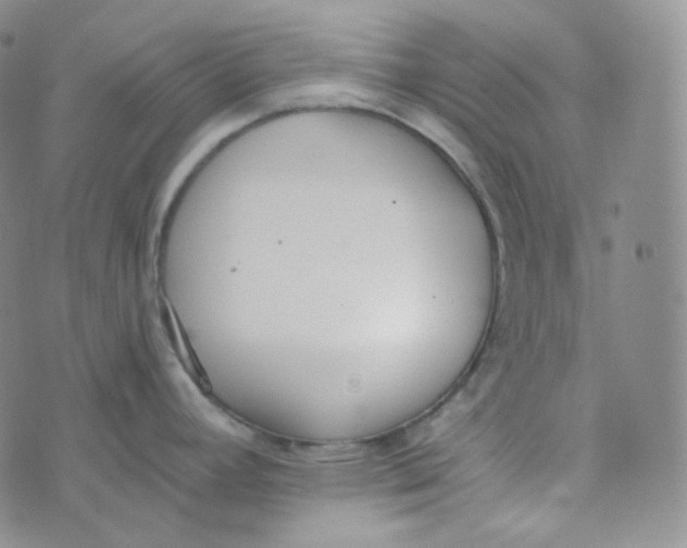 X0000074301392200609151931