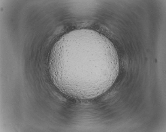 X0000074301393200609151930