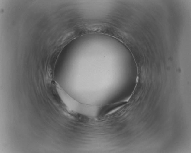 X0000074301394200609151930