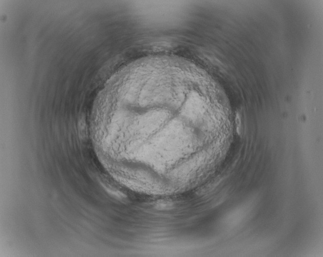 X0000074301395200609151930