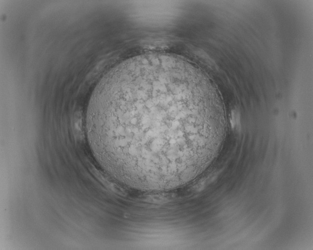 X0000074301396200609151930