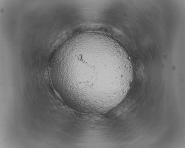 X0000074301397200609151930