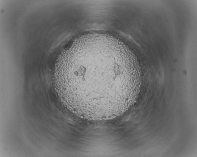 X0000074301399200609151930