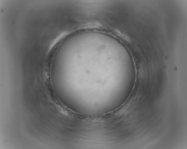 X0000074301400200609151930