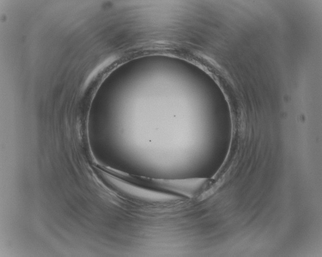 X0000074301402200609151930