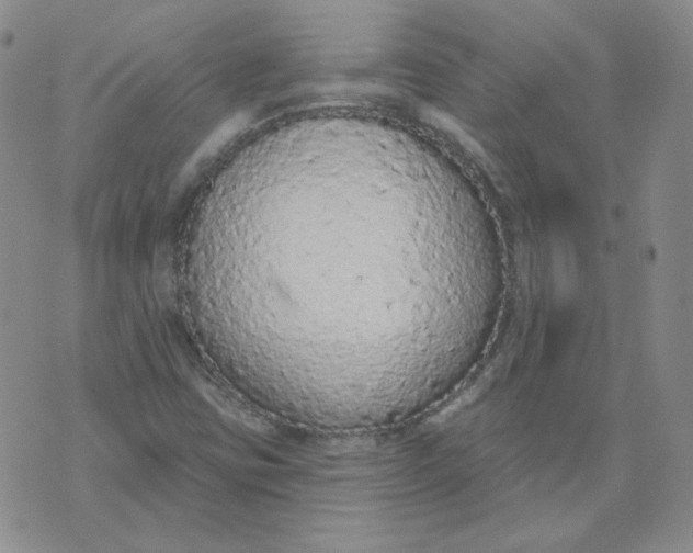 X0000074301403200609151930