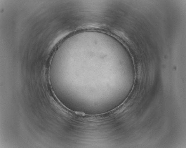 X0000074301404200609151930