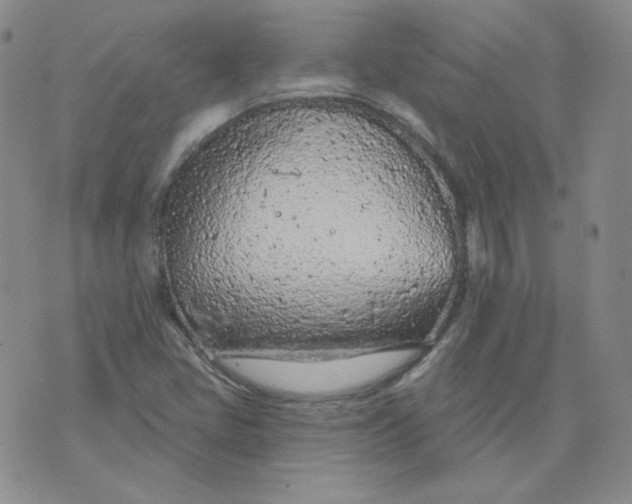 X0000074301405200609151930