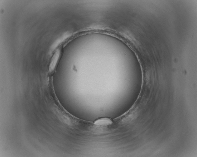 X0000074301406200609151930