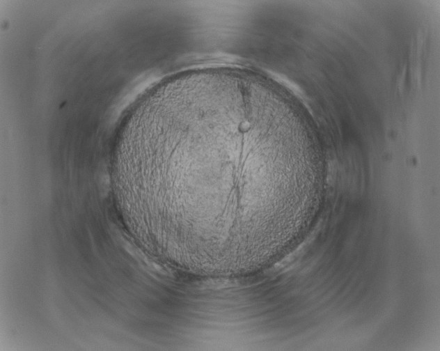 X0000074301407200609151930