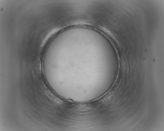 X0000074301408200609151930