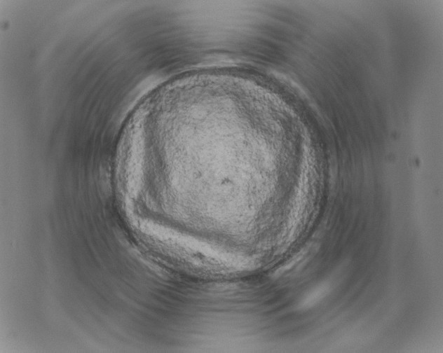 X0000074301409200609151930