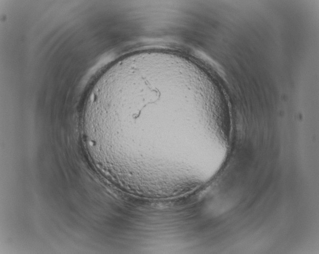 X0000074301411200609151930