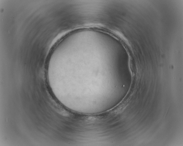 X0000074301412200609151930